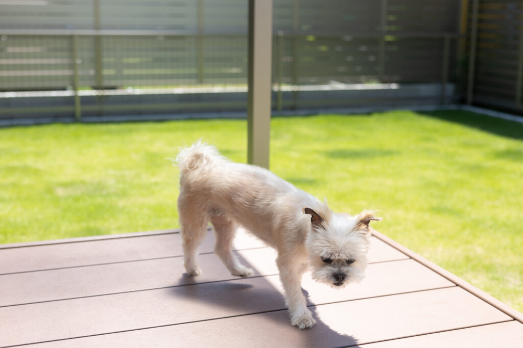 愛犬と暮らす住まいづくりのコツ【オーナーさま邸の事例付】