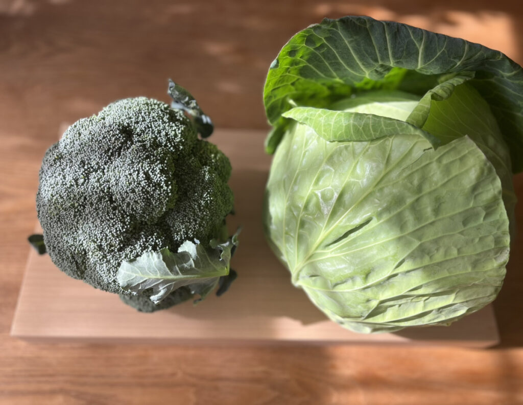 春野菜の美味しい季節