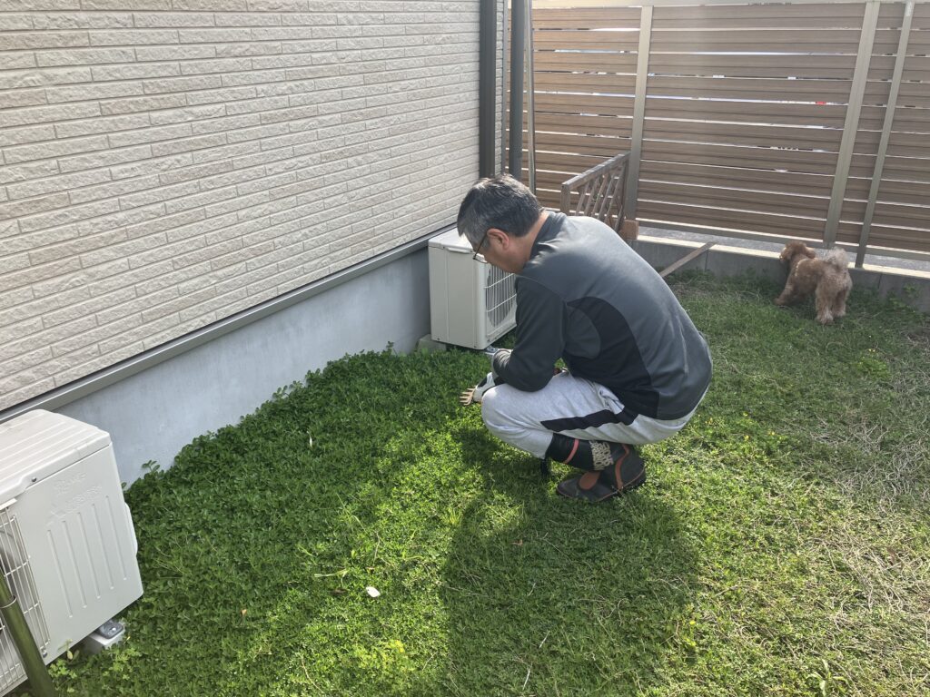 この時期のルーティン