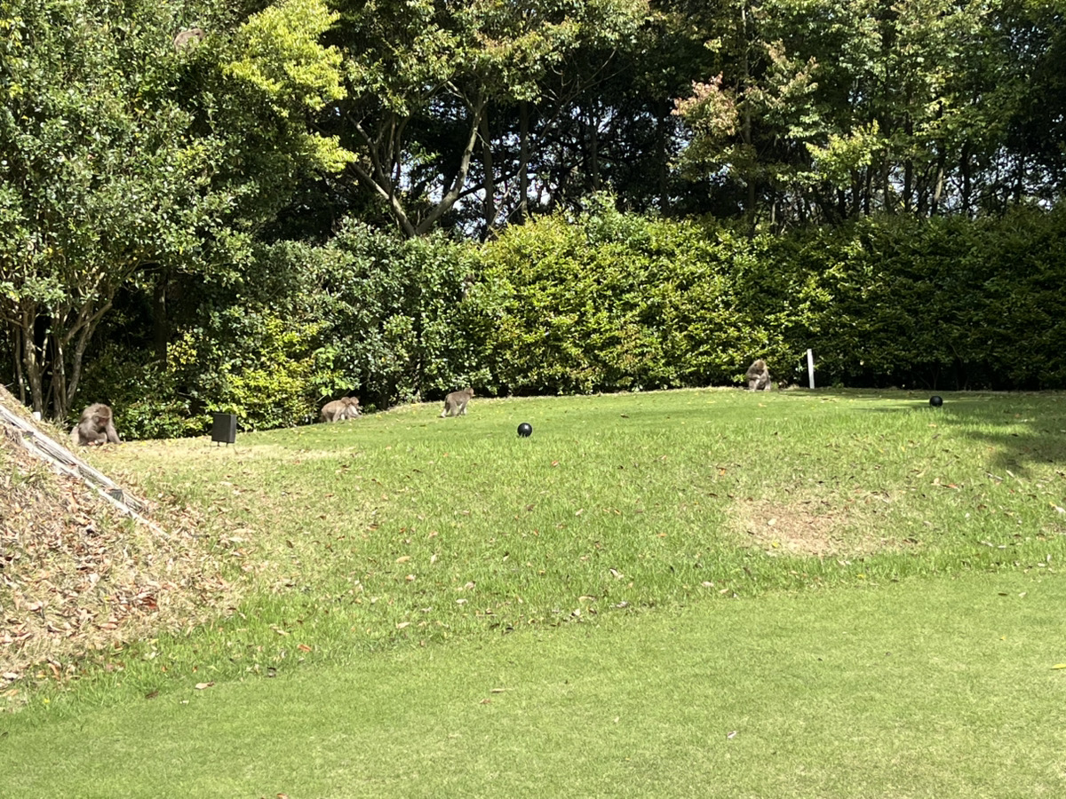 念願の…！⛳