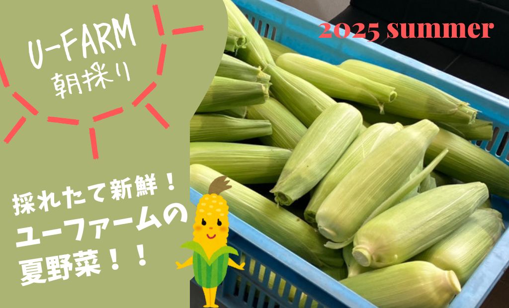 朝採り🧑‍🌾☀️