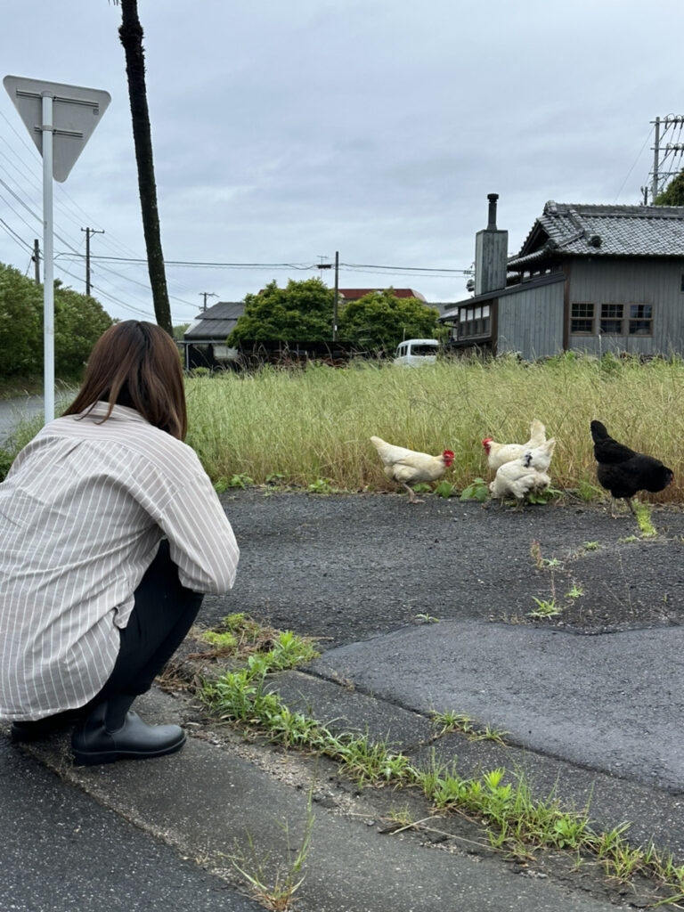 道路ニワ？