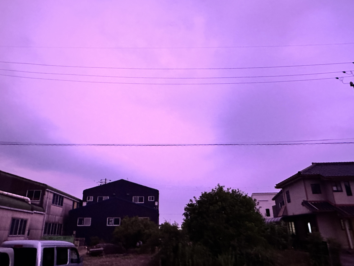 紫の空