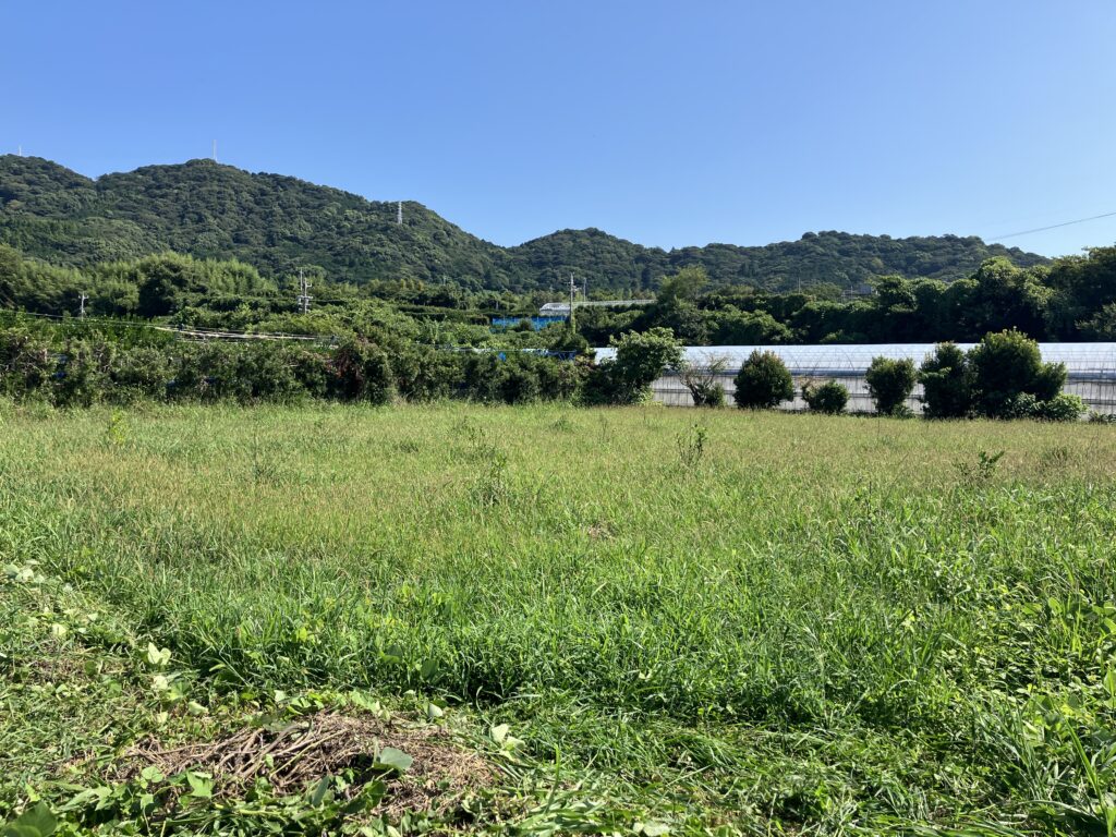 黙々と作業