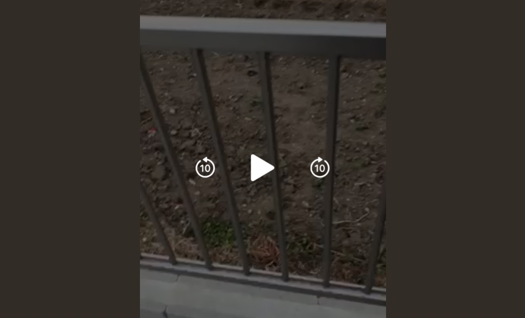 強風は色々と迷惑ですよね (-_-)