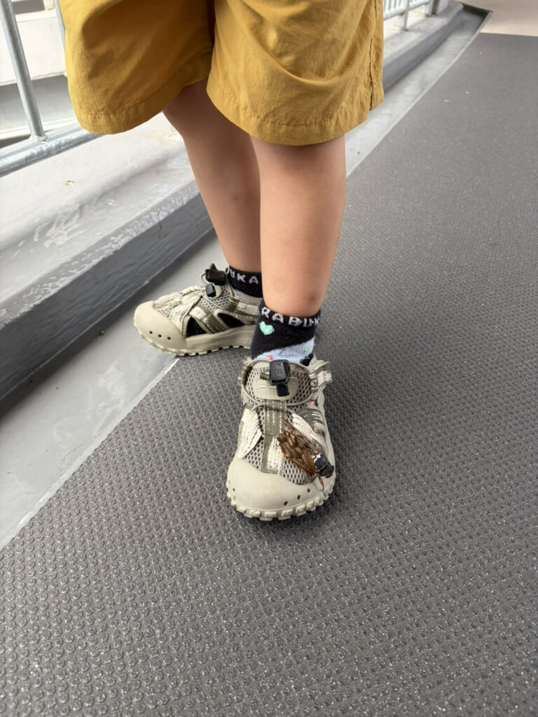 優しい世界